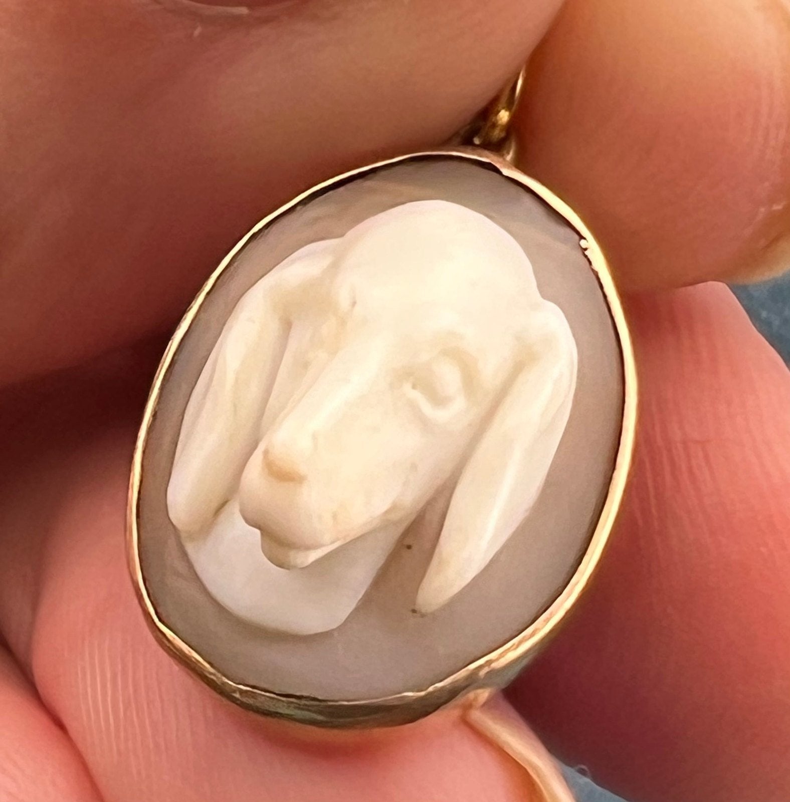 10k Gold 3-D Hound Dog Beagle Carved Cameo Pendant. Rare