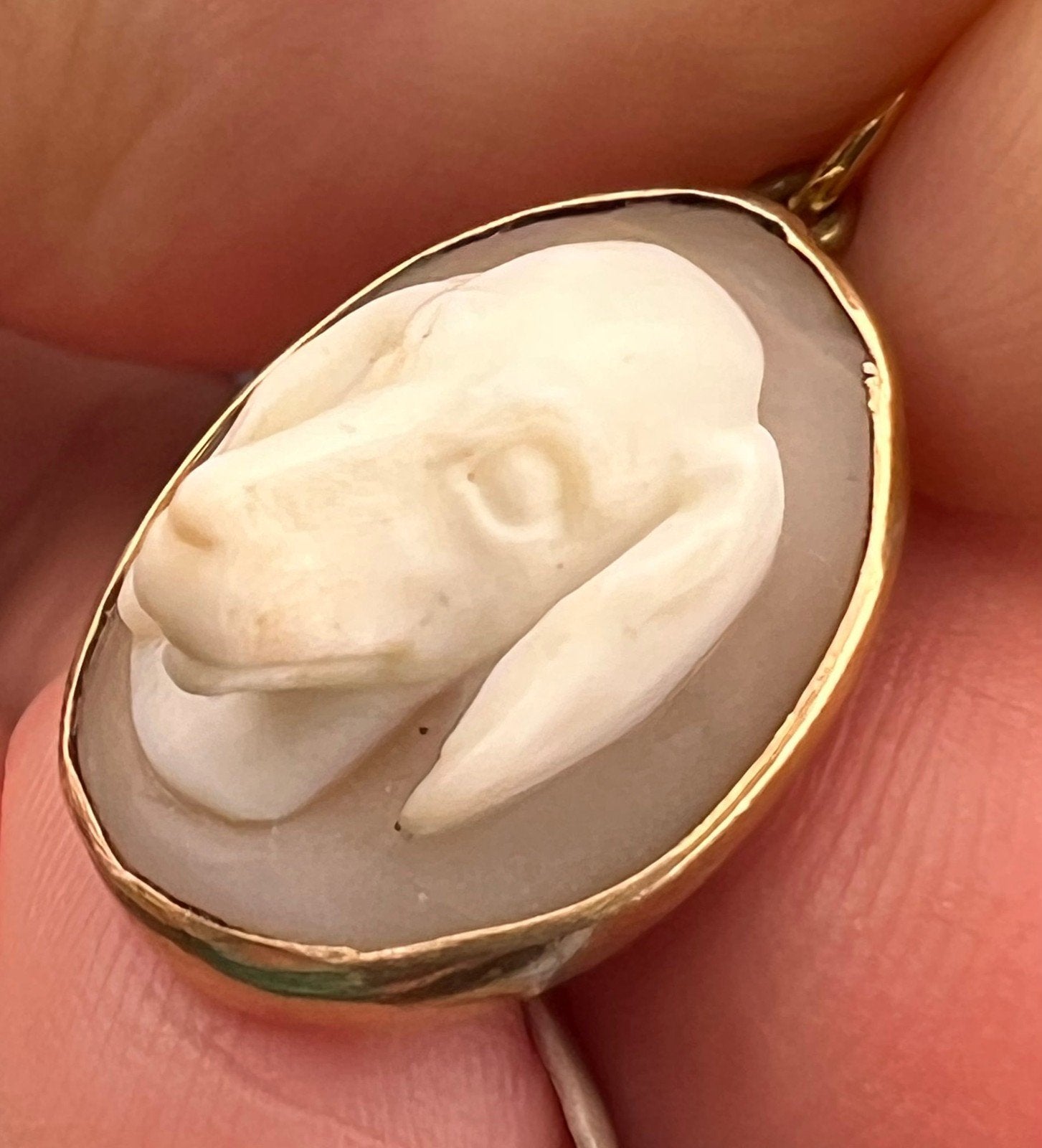 10k Gold 3-D Hound Dog Beagle Carved Cameo Pendant. Rare