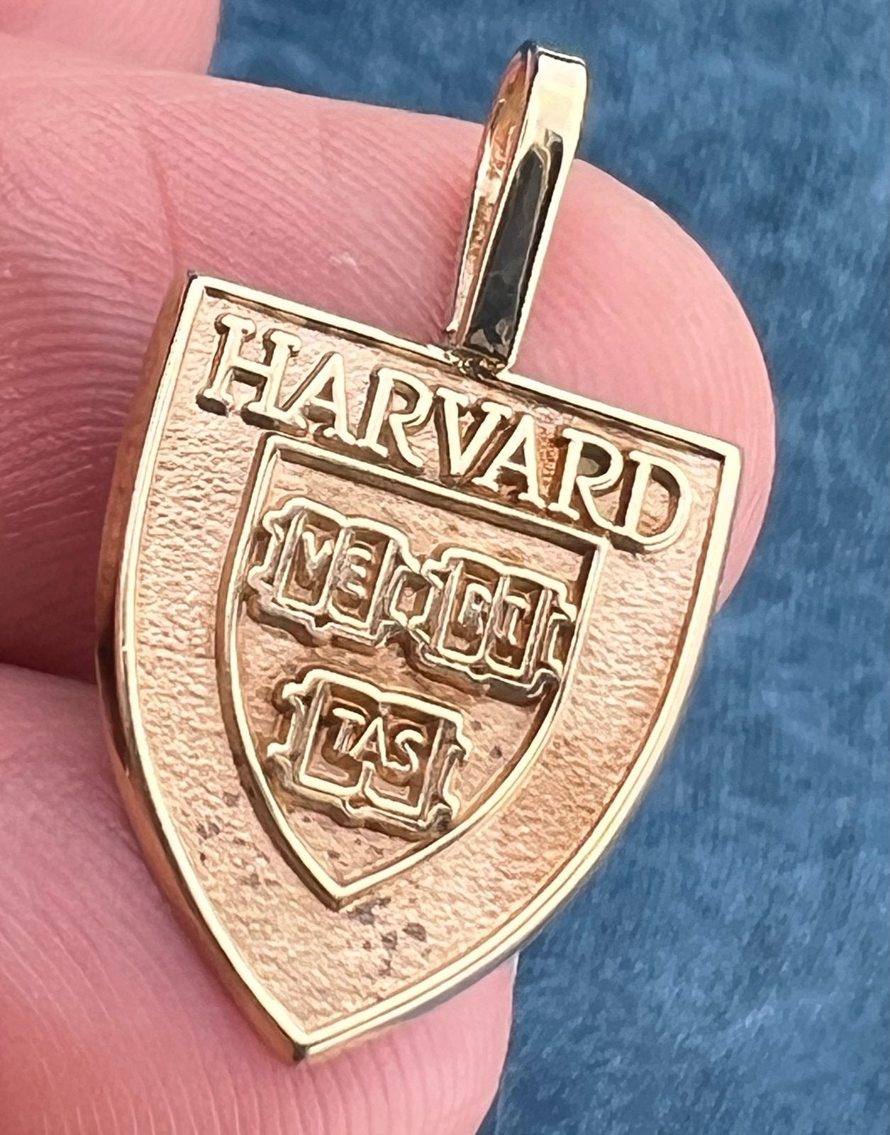 10k Gold HARVARD University "Veritas" 1" Pendant. Ring Alternative