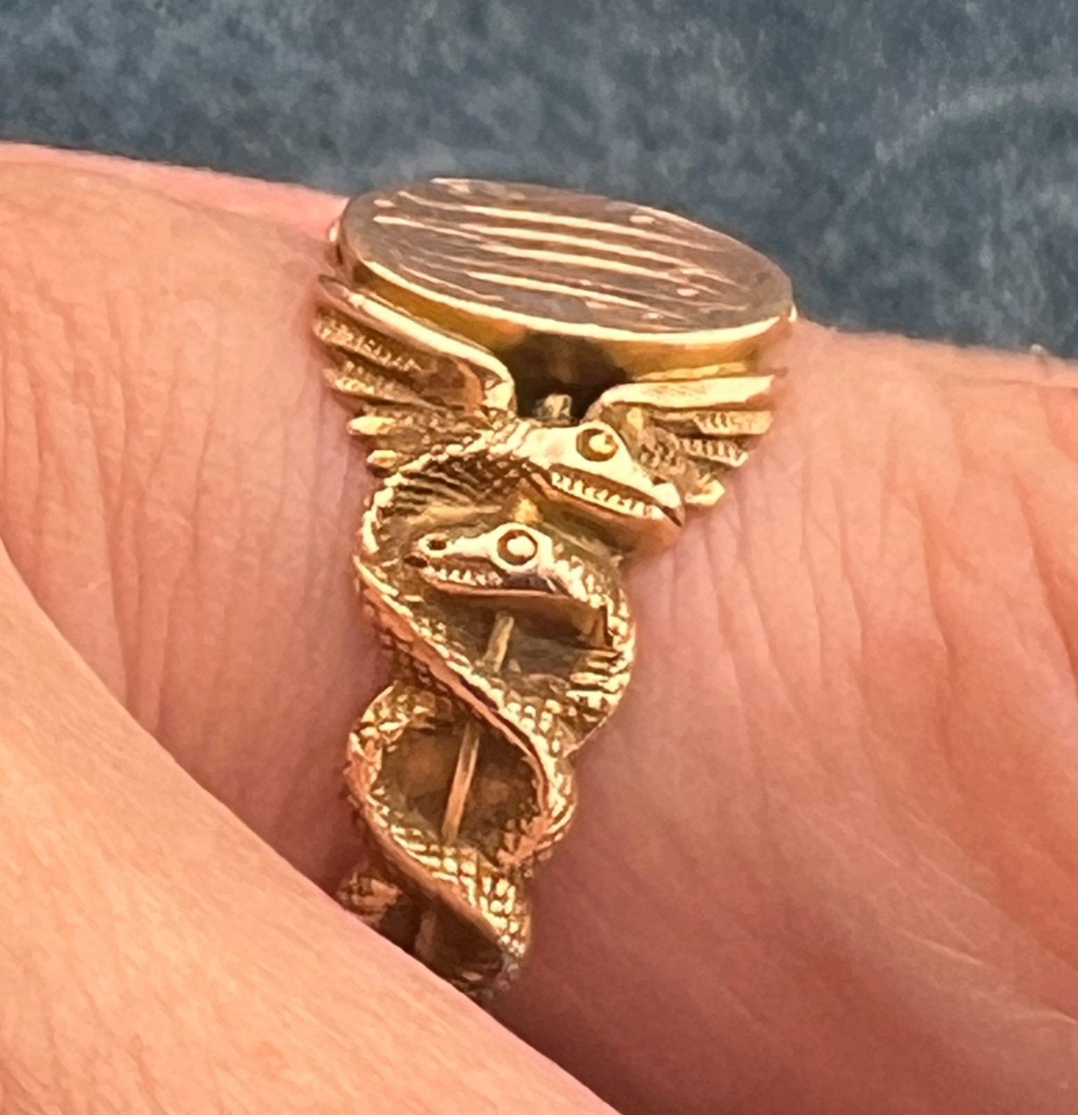 10k Gold Signet Shield Ring w Twined Snake Serpent Shoulders