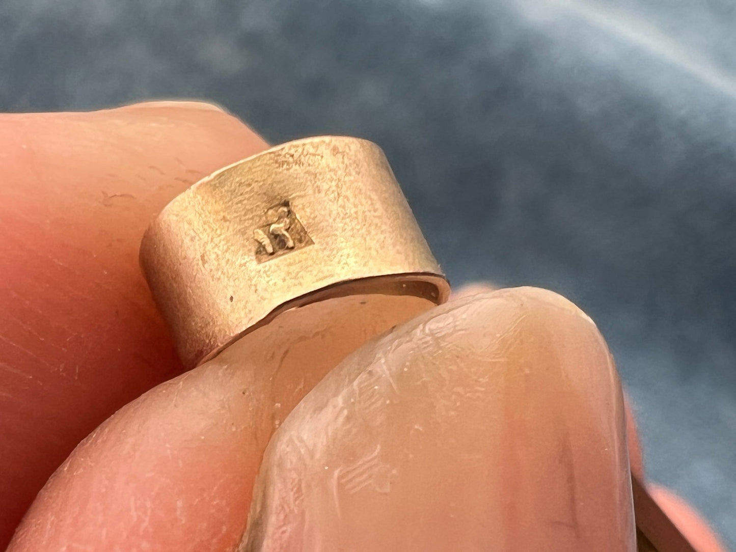 10k Yellow Gold Egyptian Cartouche Pendant. Bird Theme