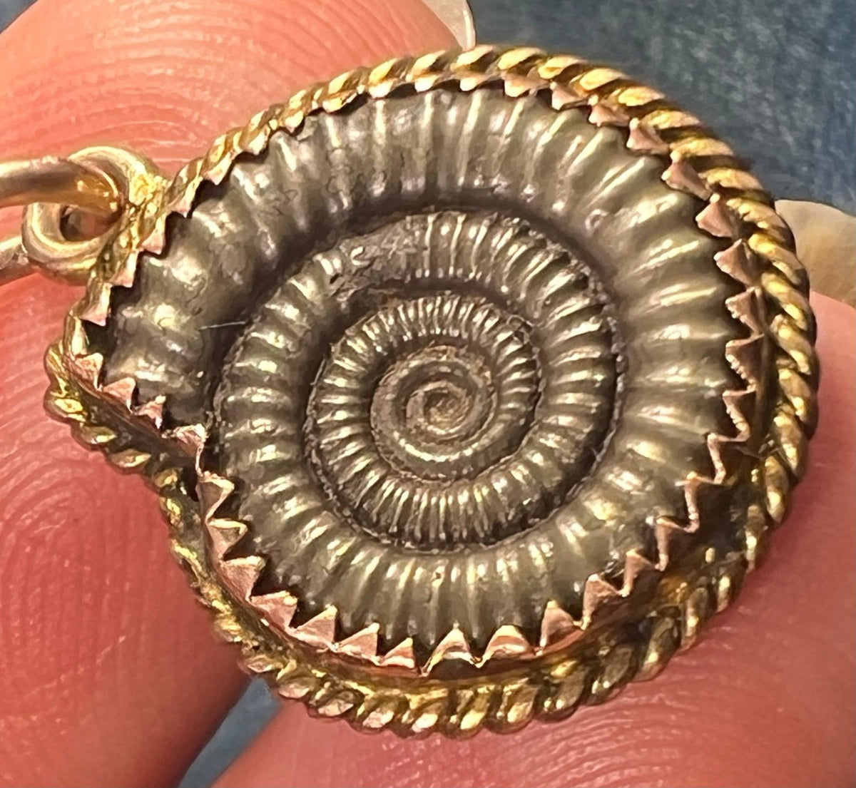 14k Gold Ammonite Cephalopod Fossil Pendant. Pre-Cretaceous