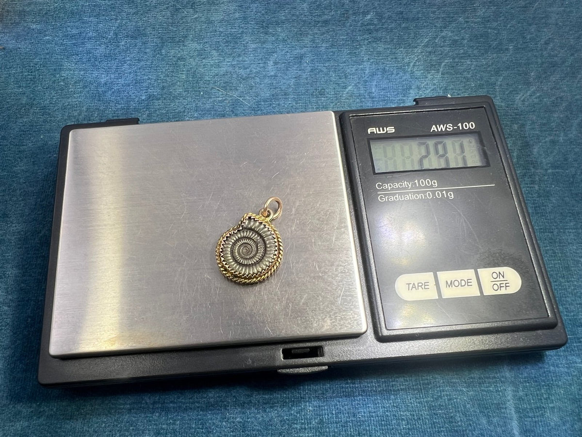 14k Gold Ammonite Cephalopod Fossil Pendant. Pre-Cretaceous