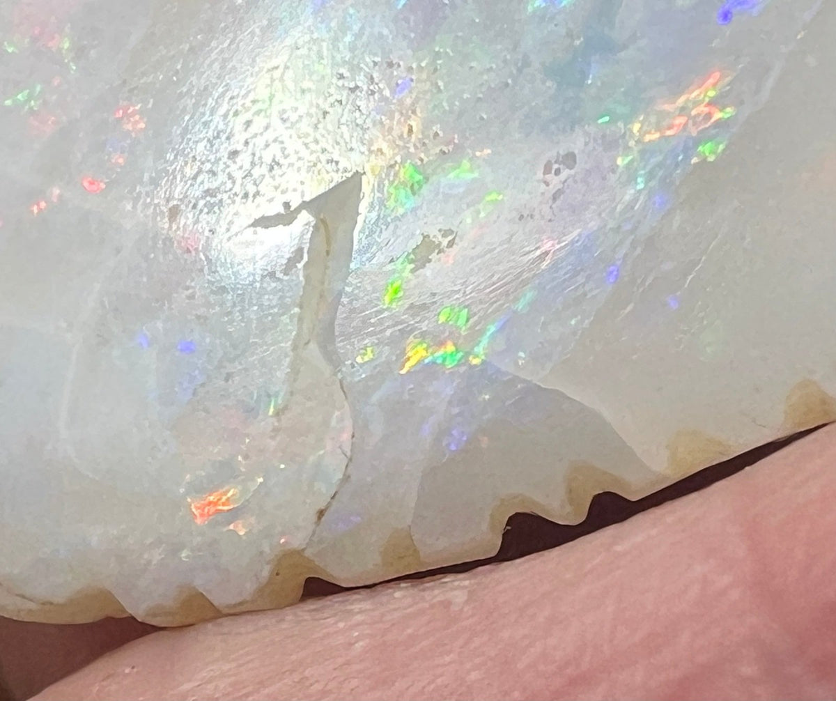 14k Gold Australian Opal Carved Song Bird Pendant *Video* 1.5"