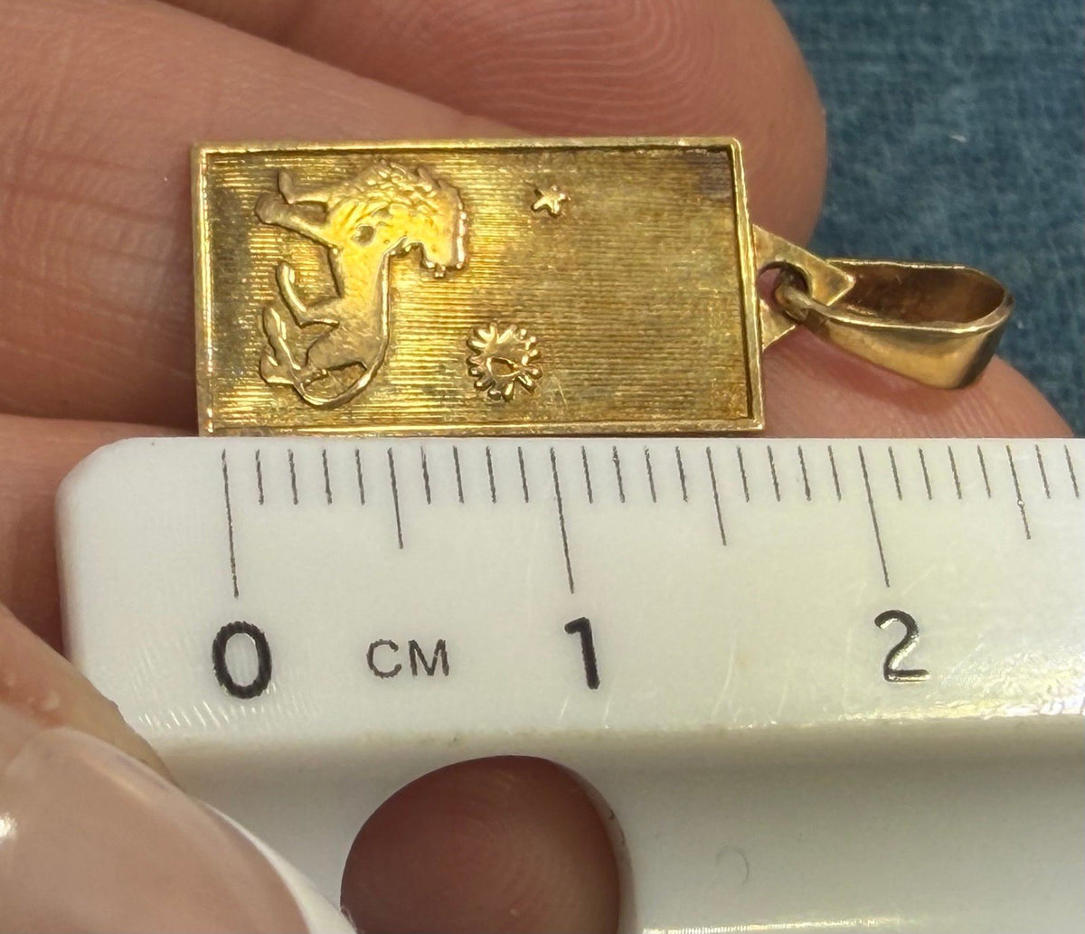 14k Gold Leo Lion Medallion Dog Tag Pendant w Sun + Star. Astrology