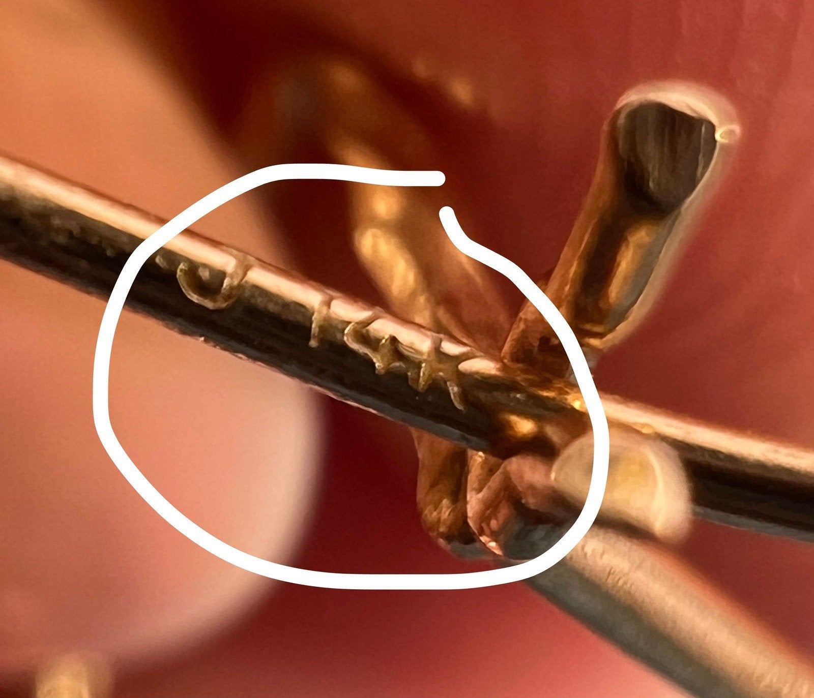 14k Yellow Gold 3-D Twisted Rope 2 Pentagon Ball Earrings. Geometric