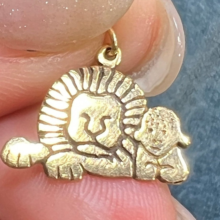 14k Yellow Gold LION + LAMB Pendant. Peaceful Co-Existence *Tiny!*