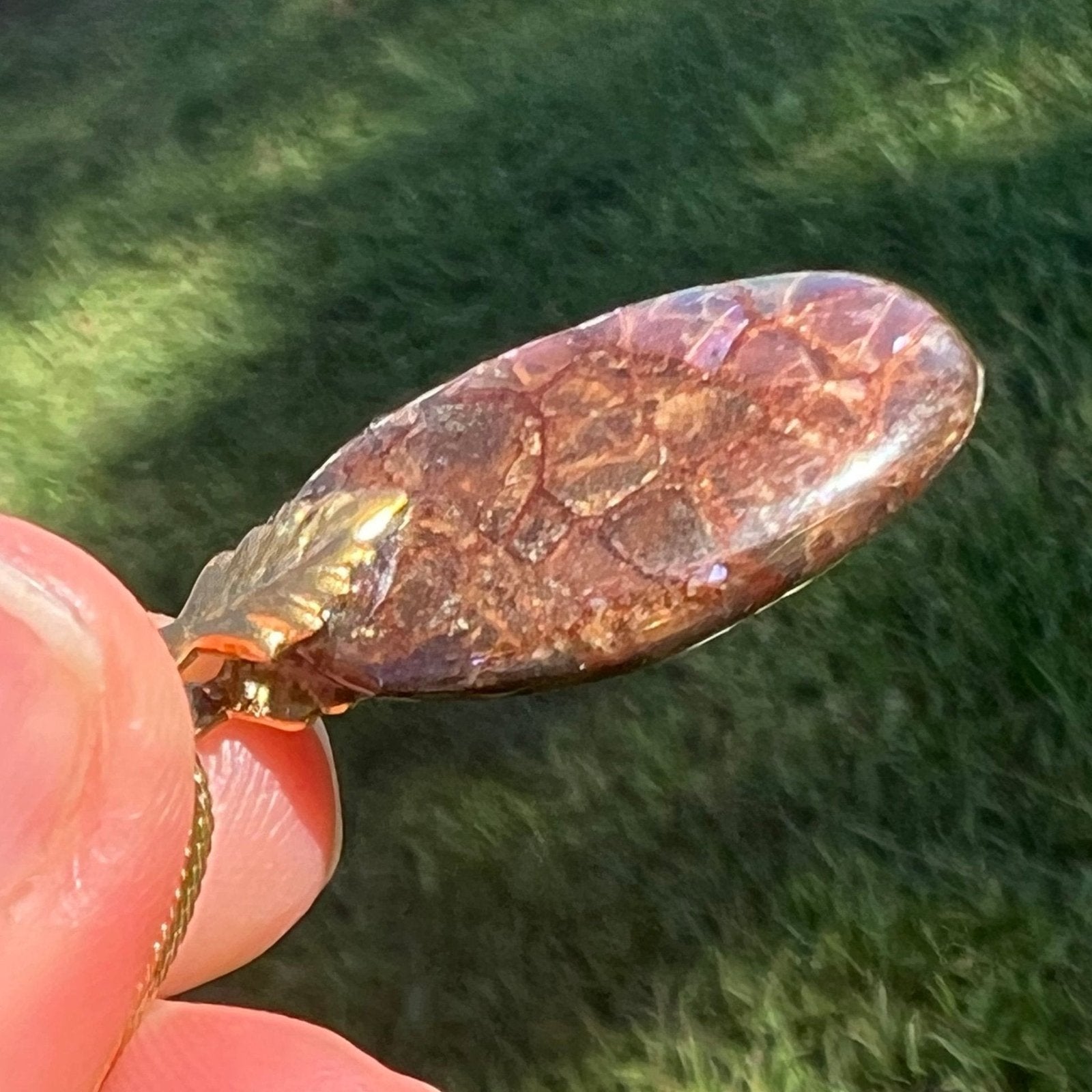 Ammolite Fossil in Boulder Pendant. 1.3" Free Chain *VIDEO*