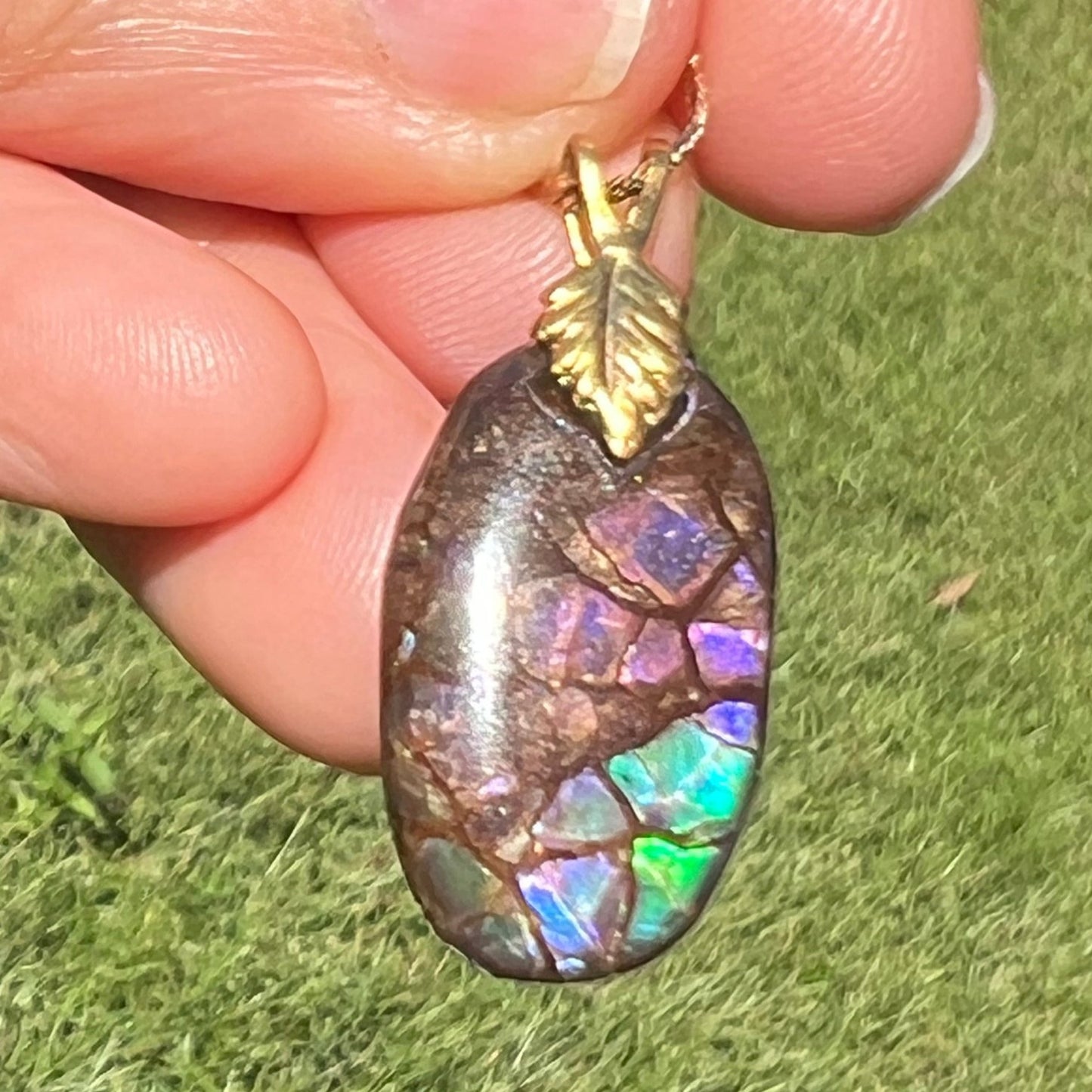 Ammolite Fossil in Boulder Pendant. 1.3" Free Chain *VIDEO*