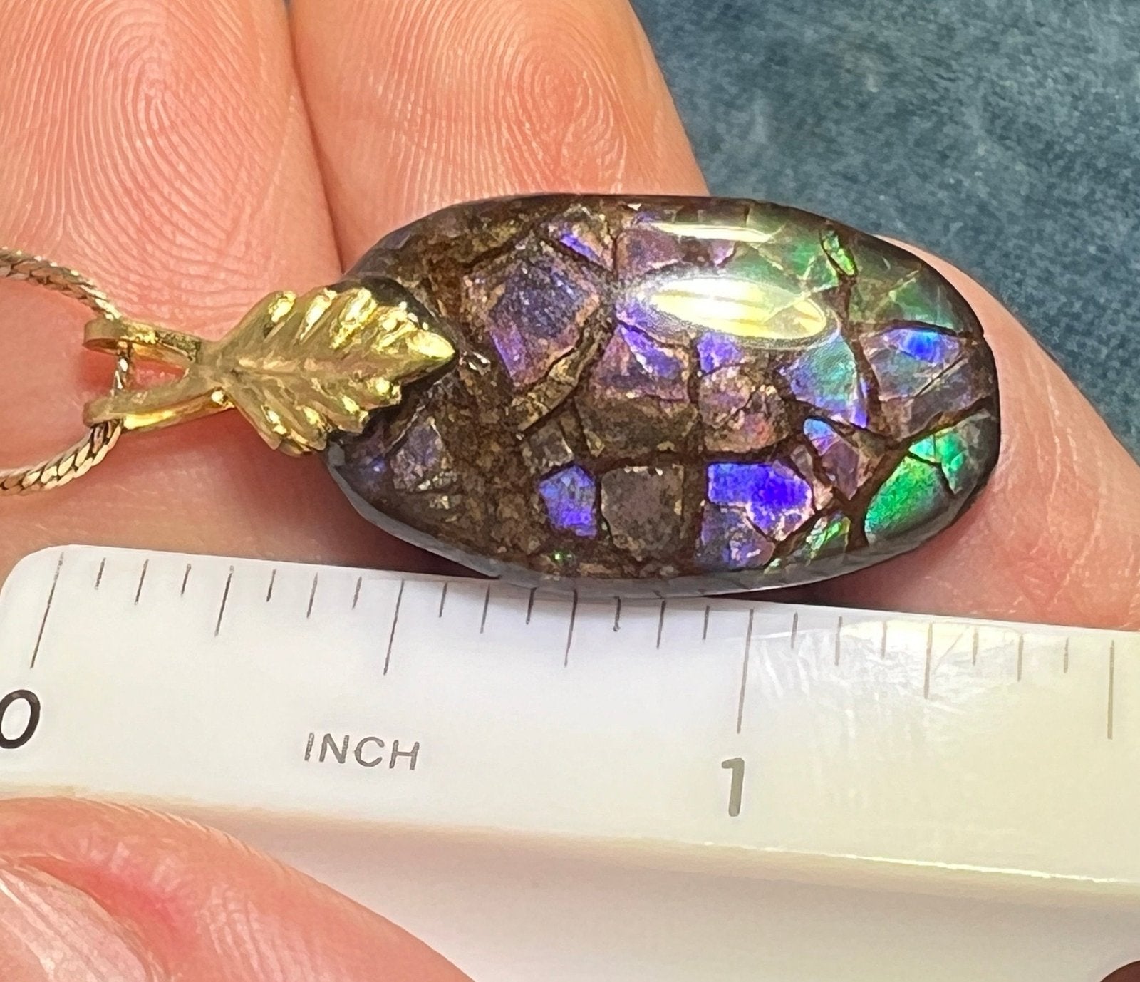 Ammolite Fossil in Boulder Pendant. 1.3" Free Chain *VIDEO*