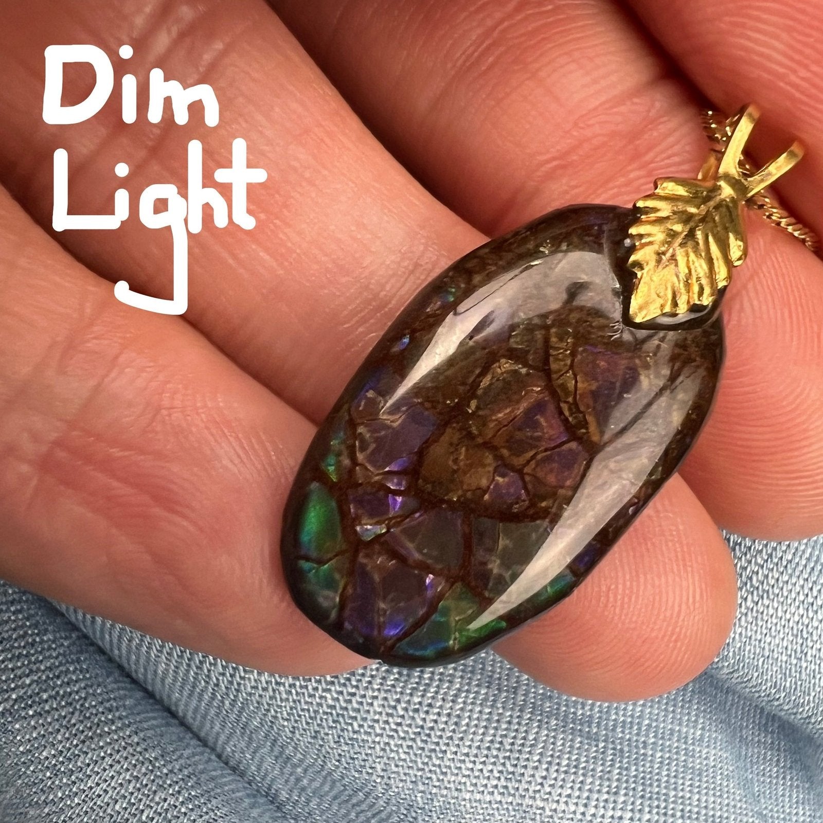 Ammolite Fossil in Boulder Pendant. 1.3" Free Chain *VIDEO*