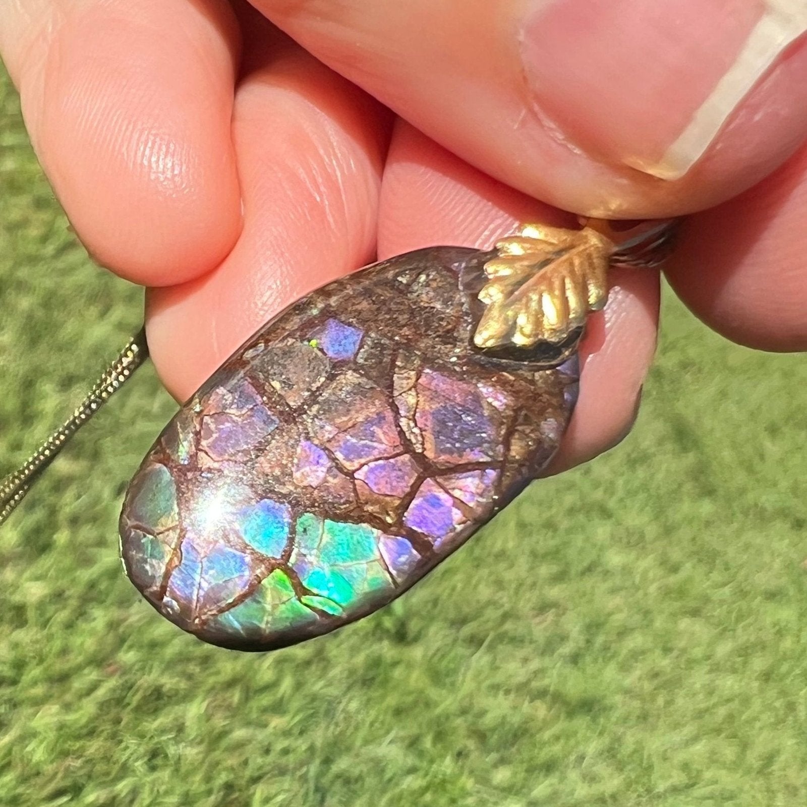 Ammolite Fossil in Boulder Pendant. 1.3" Free Chain *VIDEO*