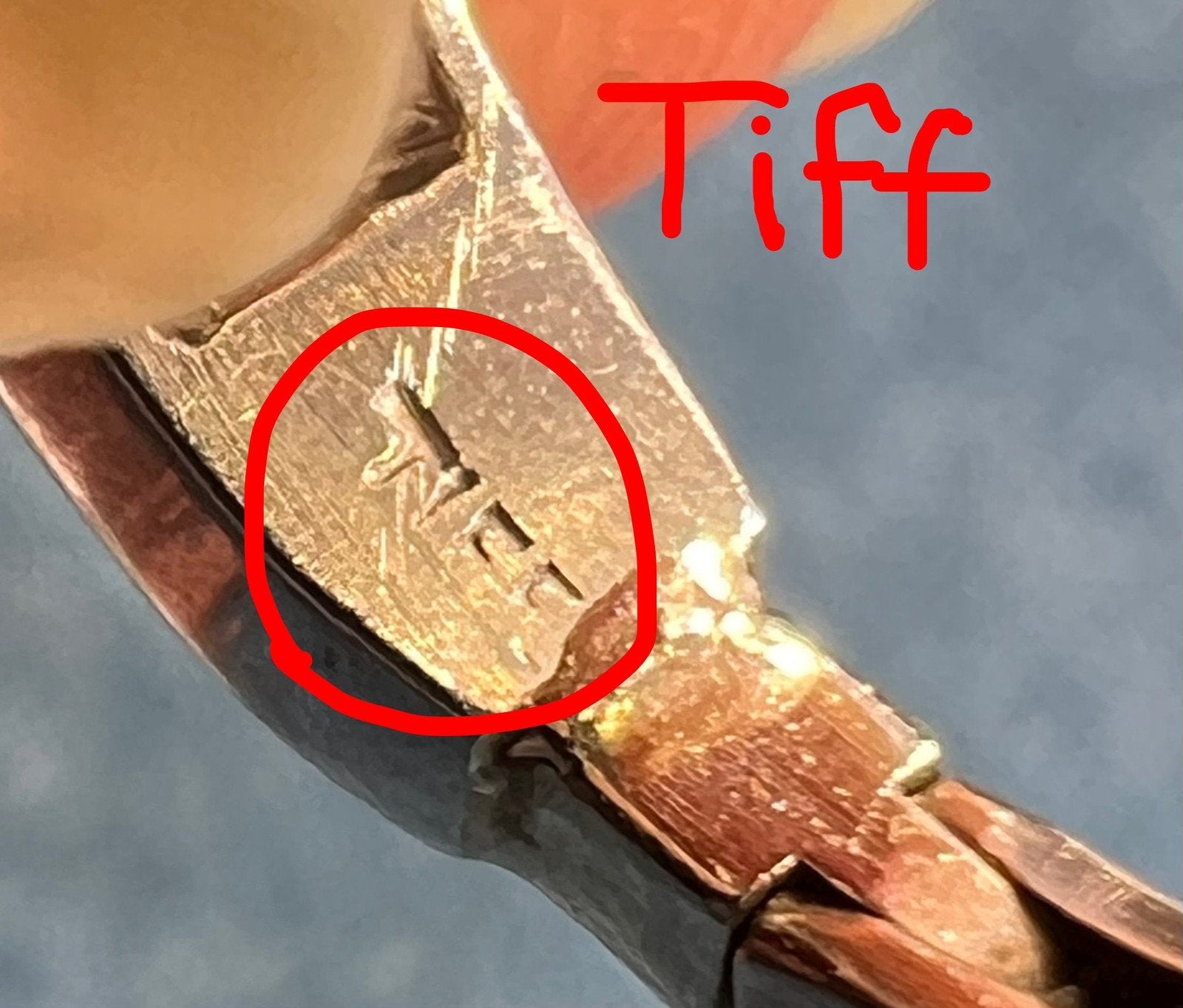 D- Tiffany Platinum Diamond Ring w 10k Gold Arthritic Shank *Video*