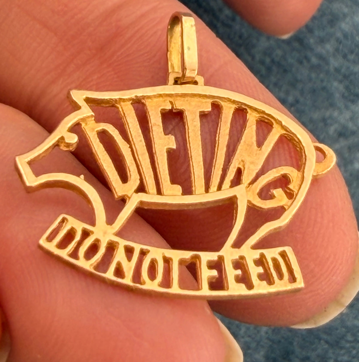 10k Yellow Gold Funny Pig Cut-Out Pendant. "DIETING - Do Not Feed"