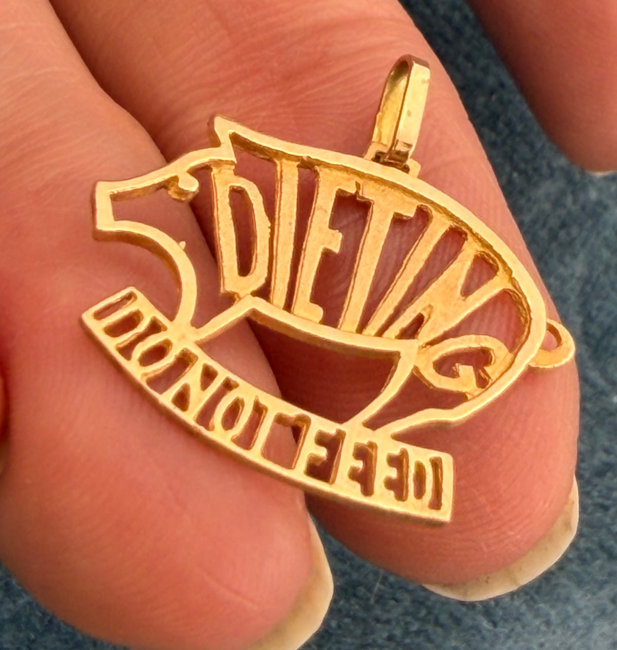 10k Yellow Gold Funny Pig Cut-Out Pendant. "DIETING - Do Not Feed"
