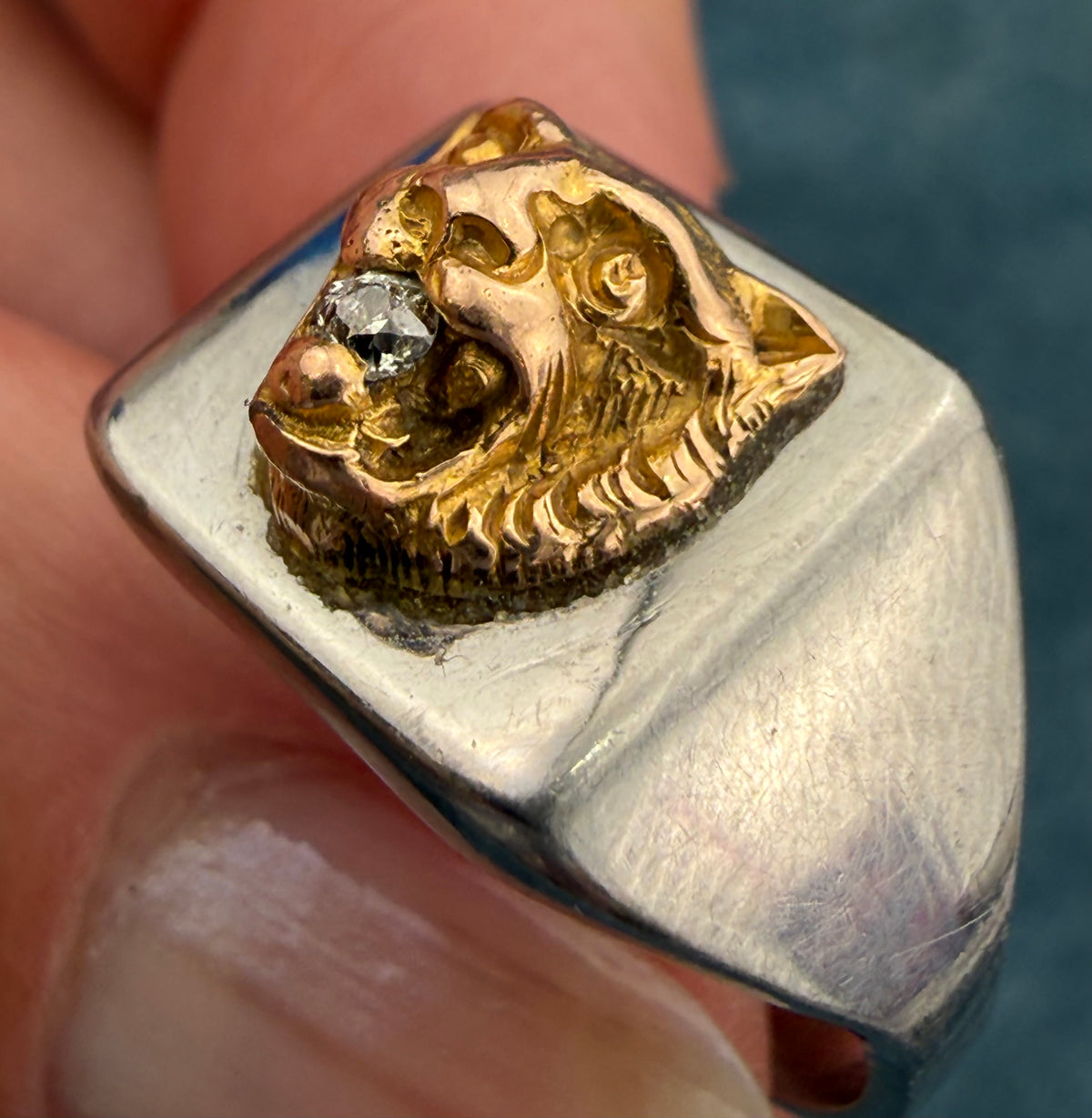 10k Yellow Gold Antique TIGER Head w Rose-Cut Diamond in SS Signet Ring. 8g