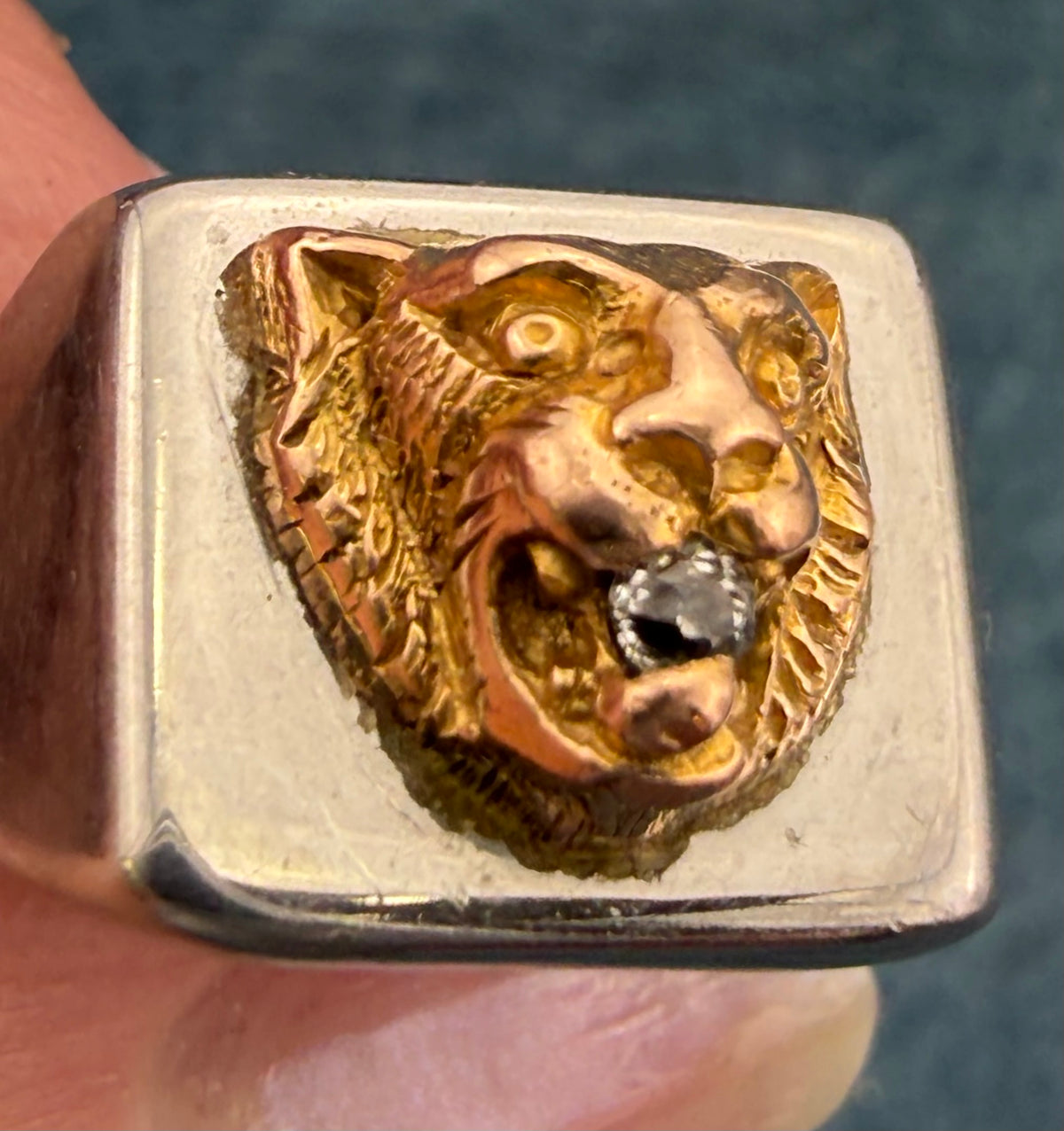 10k Yellow Gold Antique TIGER Head w Rose-Cut Diamond in SS Signet Ring. 8g