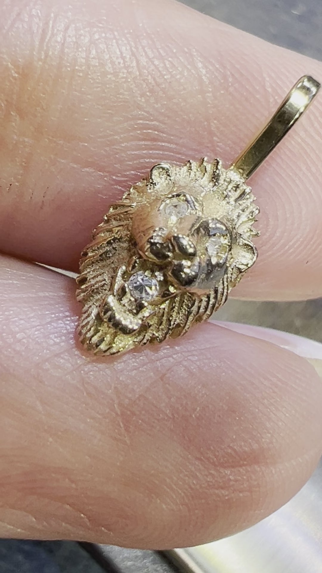 Men's 14k White Gold Lion Head w/ Ruby Eyes Ring Sizes 7-13 – Direct Source  Gold & Diamond