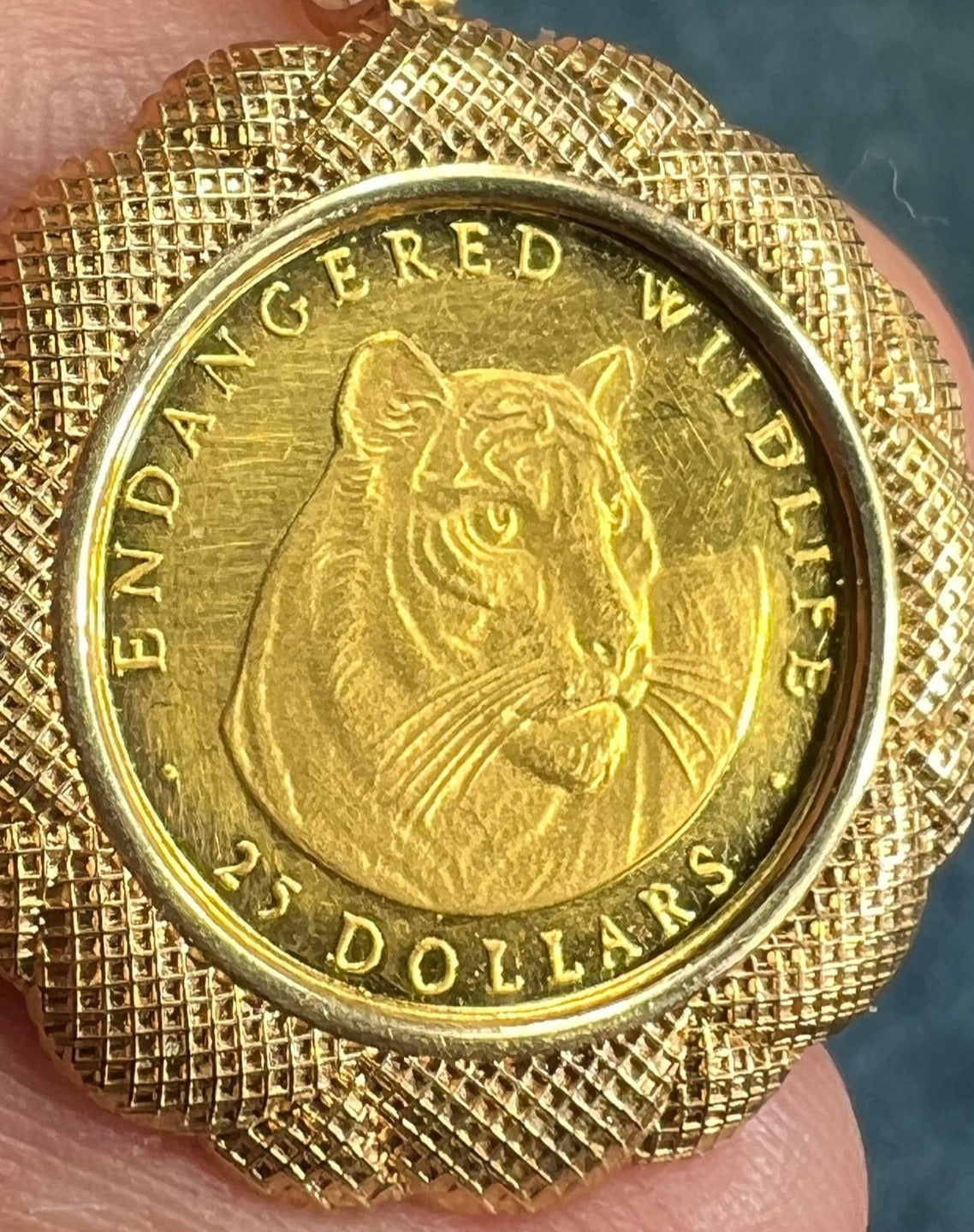 14k Gold Bezel Pendant w Endangered Tiger RARE Cook Islands Coin