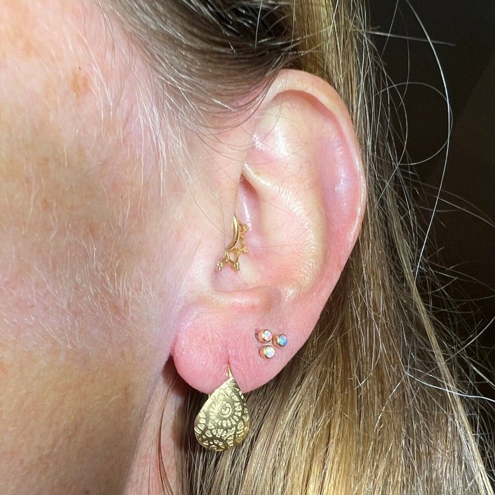 14k Gold Embossed Paisley Nautilus Design Shell Teardrop Drop Earrings