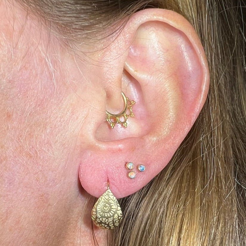 14k Gold Embossed Paisley Nautilus Design Shell Teardrop Drop Earrings