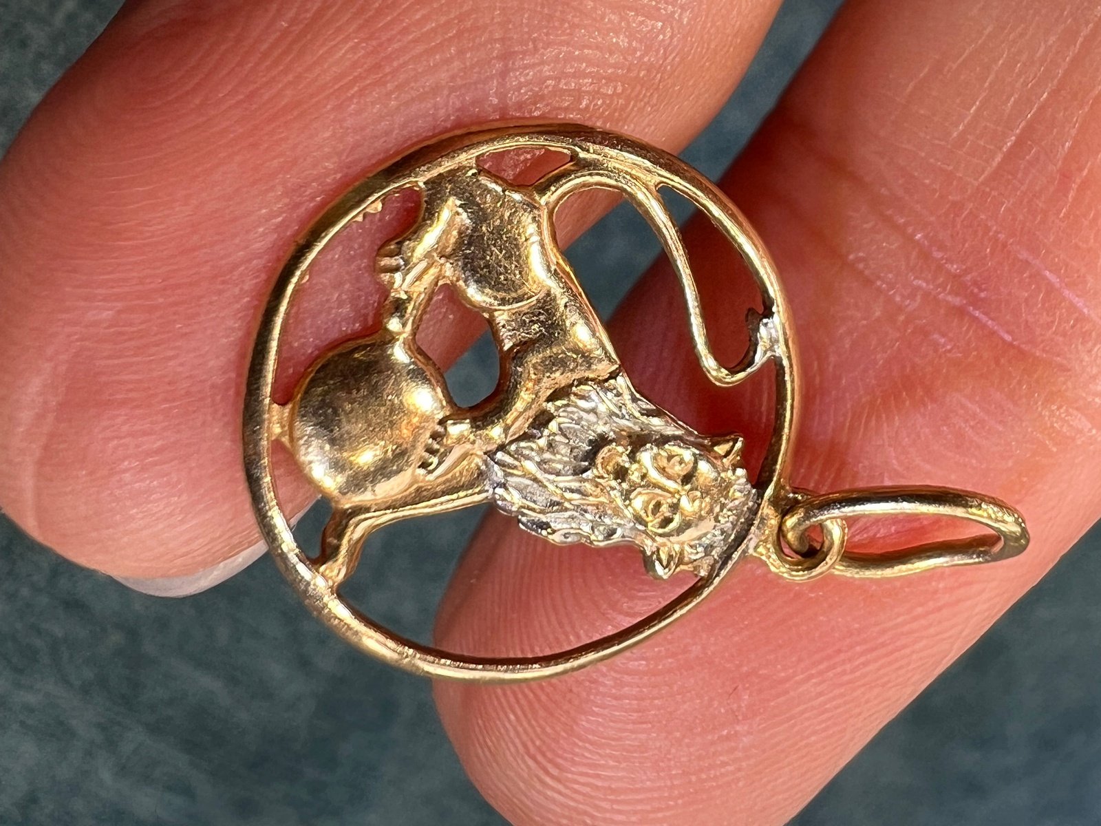 14k Yellow Gold Regal LION Leo Circle Pendant. Antique