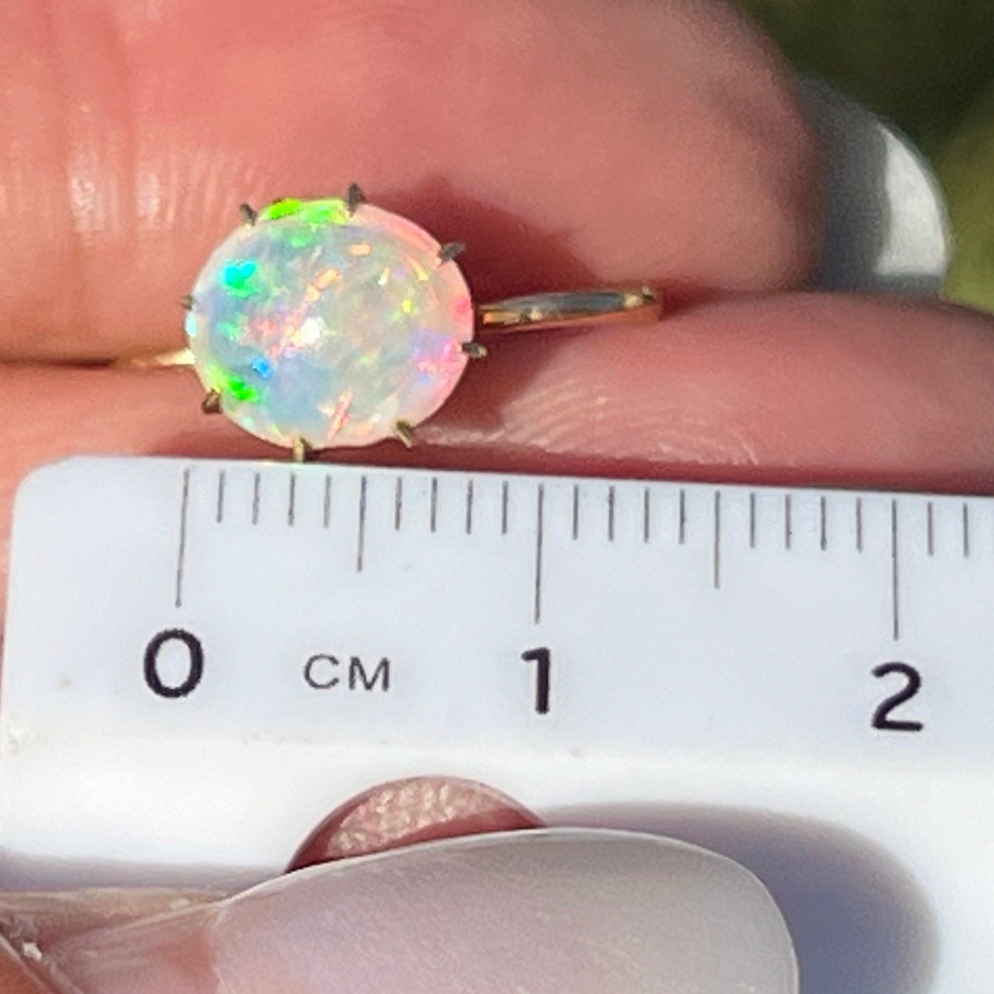 14k Yellow Gold Australian Jelly Opal Cabochon Earrings**VIDEO**