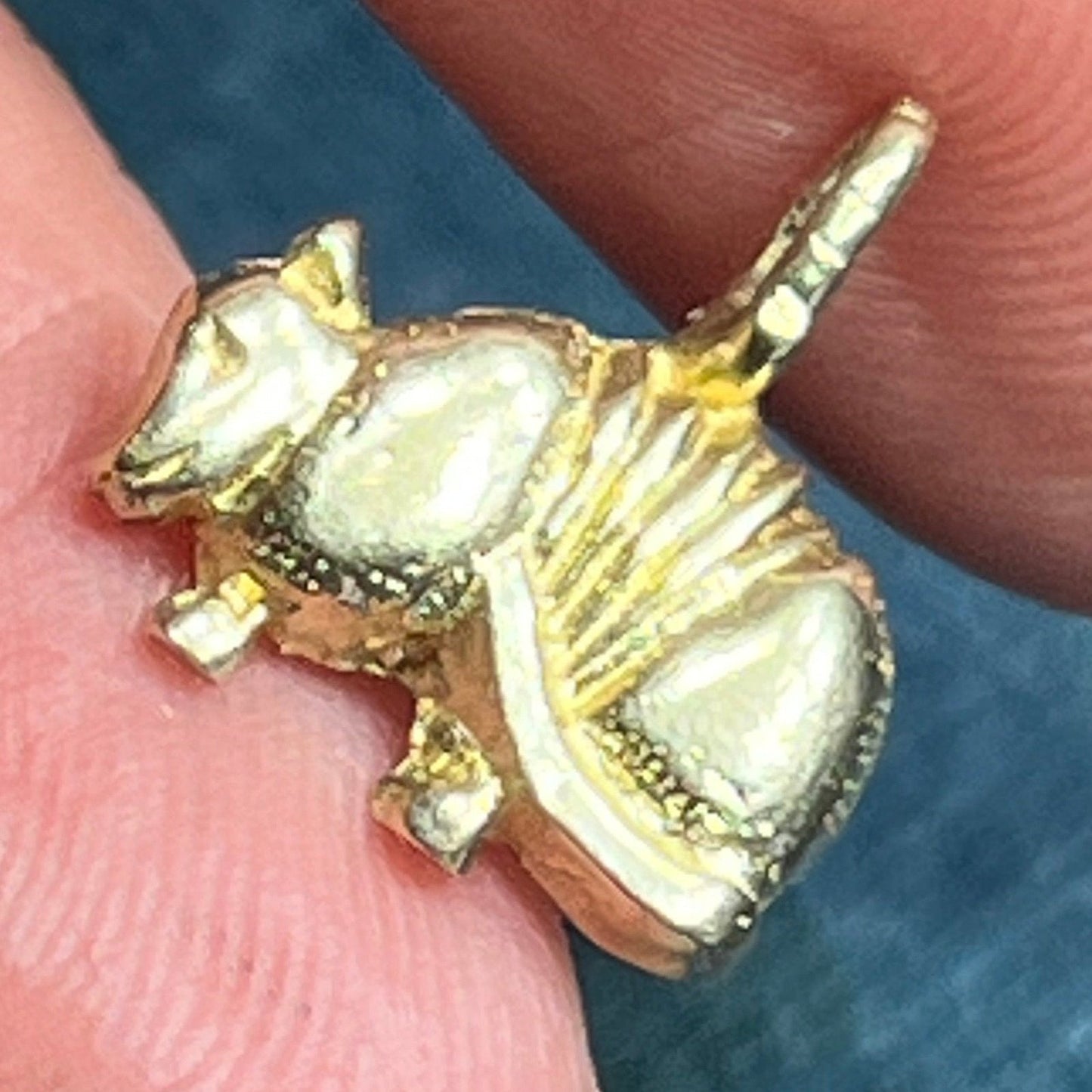 14k Yellow Gold Texas ARMADILLO Pendant. Protection