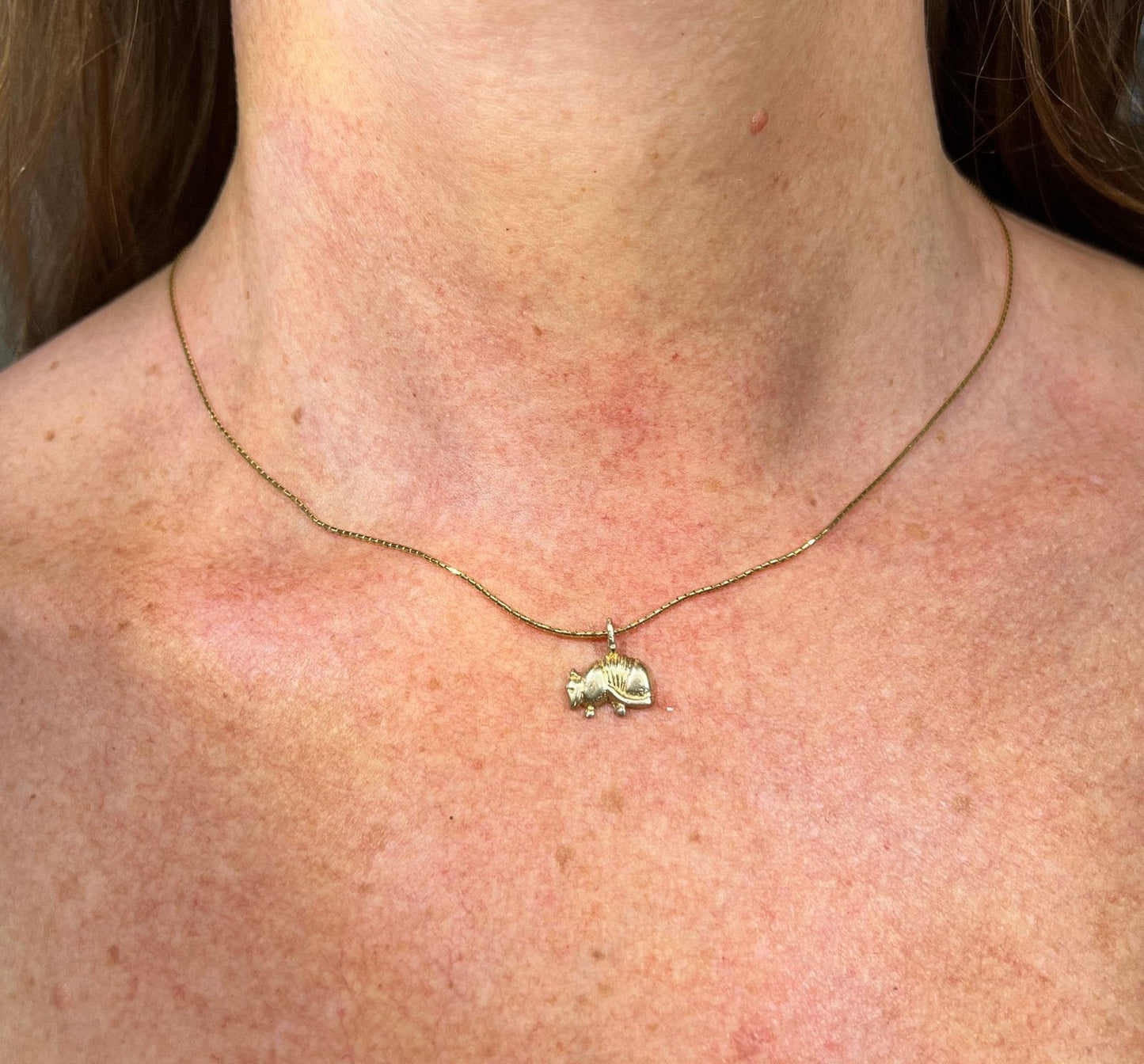 14k Yellow Gold Texas ARMADILLO Pendant. Protection