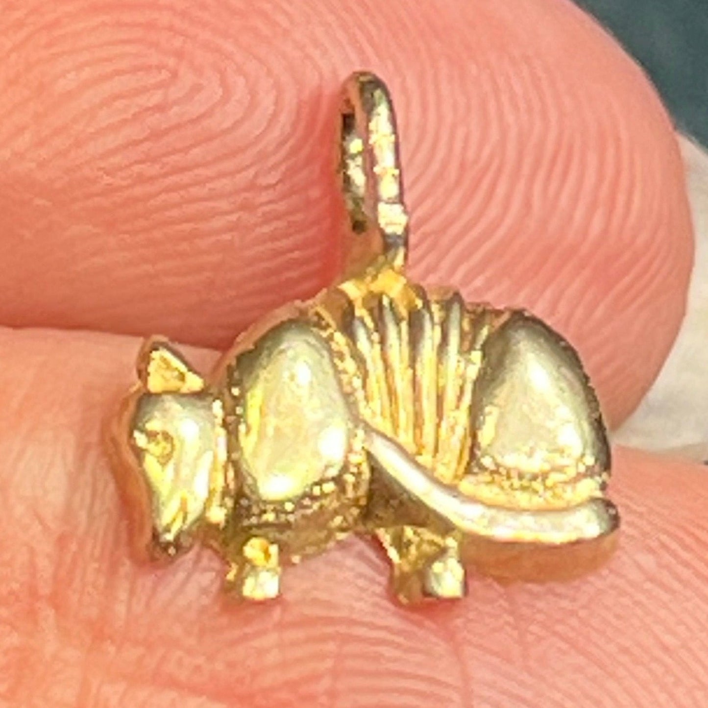 14k Yellow Gold Texas ARMADILLO Pendant. Protection